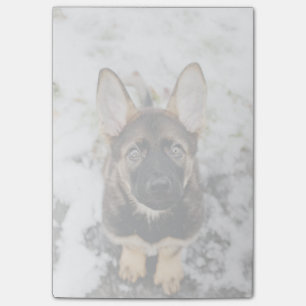 Cute Puppy Looking Up Post-it Notes