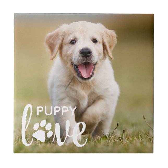 Cute Puppy Love Personalized Pet Photo Dog Lover Ceramic Tile (Front)
