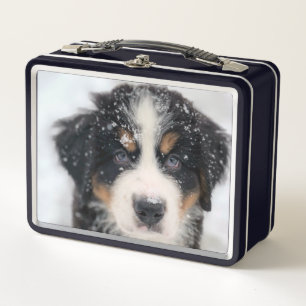 Cute Puppy Metal Lunch Box
