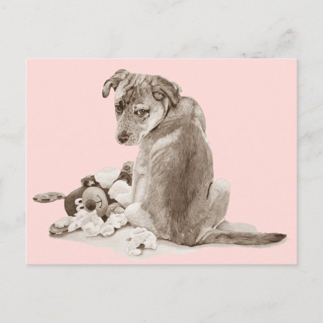 Cute puppy mixed breed with teddy dog postcard (Front)