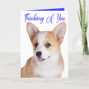 Cute Puppy Pembroke Corgi Dog Thinking Of You Card