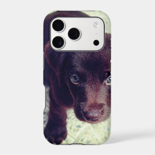 Cute Puppy Phone Case