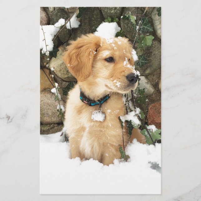 Cute Puppy photo (Front)