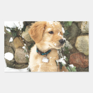 Cute Puppy photo Rectangular Sticker