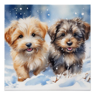 Cute puppy poster