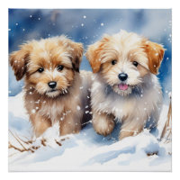 Cute puppy