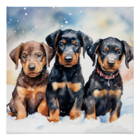 Cute puppy