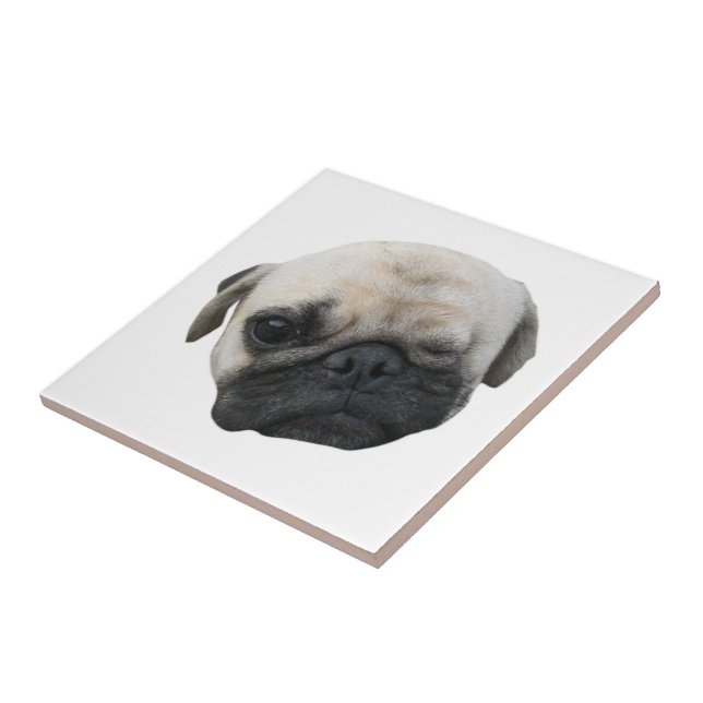 Cute Puppy Pug Dog Friend ... かわいい 子犬 Ceramic Tile (Side)