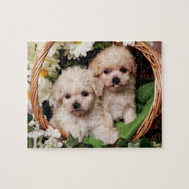 Cute Puppy Puzzles (Horizontal)