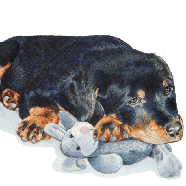 cute puppy rottweiler cuddling teddy bear jigsaw puzzle (Creator Uploaded)