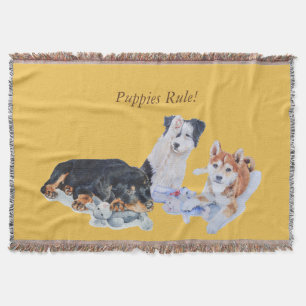 cute puppy sheba inu rotty collie and teddies throw blanket