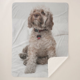 CUTE PUPPY SHERPA BLANKET