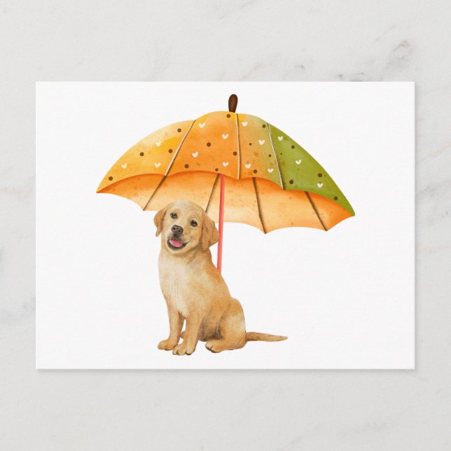 Cute Puppy under Autumn Colour Umbrella  Postcard (Front)