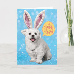 Cute Puppy Wearing Eggs-Tra Special Bunny Ears Card