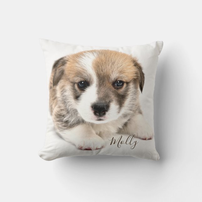 Cute Puppy Welsh Corgi Cushion (Front)