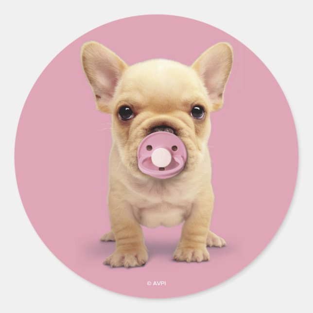 Cute Puppy with Pacifier Classic Round Sticker (Front)