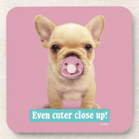 Cute Puppy with Pacifier