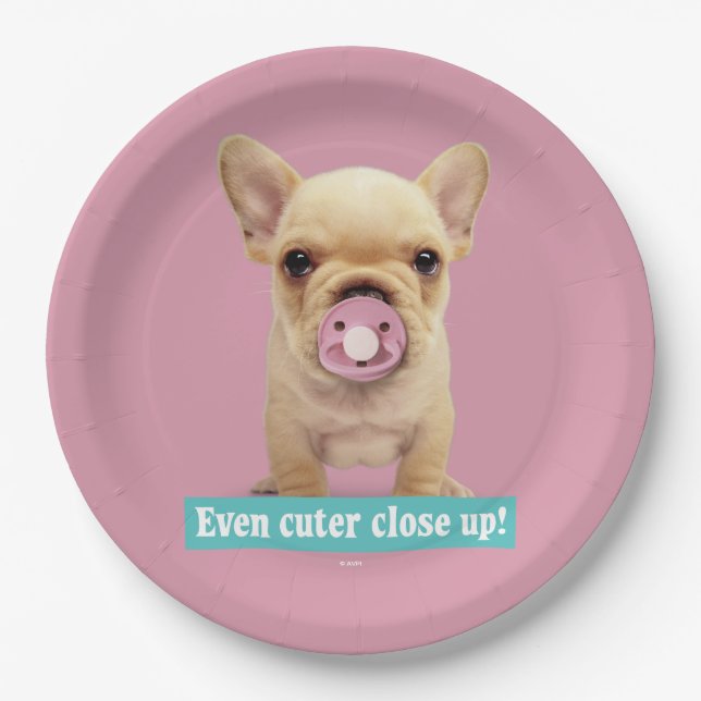 Cute Puppy with Pacifier Paper Plate (Front)
