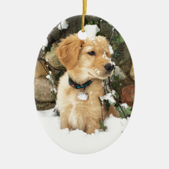 Cute Puppy yellow lab golden retriever  Ceramic Ornament (Front)