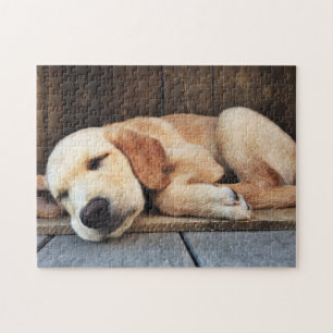 Cute Puppy Yellow Labrador Jigsaw Puzzle