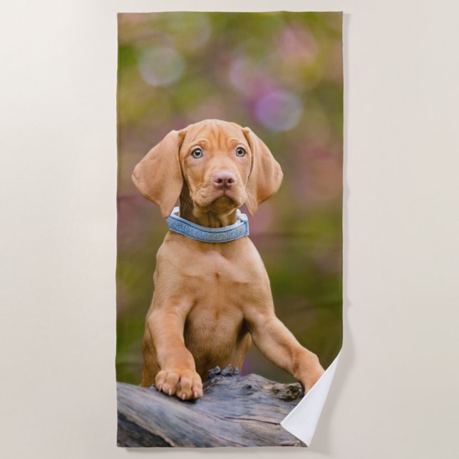 Cute puppyeyed Hungarian Vizsla Dog Puppy Photo . Beach Towel (Front)