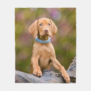 Cute puppyeyed Hungarian Vizsla Dog Puppy Photo _- Fleece Blanket
