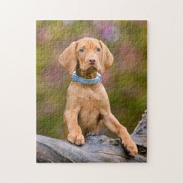 Cute puppyeyed Hungarian Vizsla Dog Puppy Photo / Jigsaw Puzzle (Vertical)