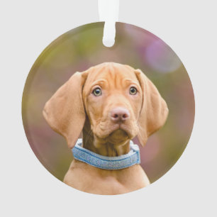 Cute puppyeyed Hungarian Vizsla Dog Puppy Photo - Ornament