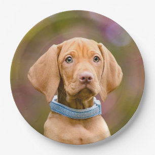 Cute puppyeyed Hungarian Vizsla Dog Puppy Photo " Paper Plate