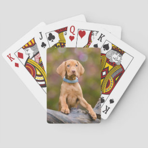 Cute puppyeyed Hungarian Vizsla Dog Puppy Photo /" Playing Cards