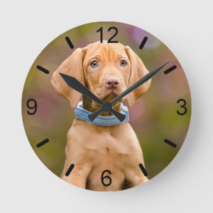 Cute puppyeyed Hungarian Vizsla Dog Puppy Photo - Round Clock