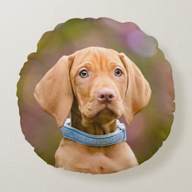 Cute puppyeyed Hungarian Vizsla Dog Puppy Photo -_ Round Cushion (Front)
