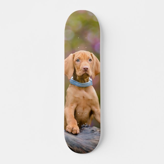 Cute puppyeyed Hungarian Vizsla Dog Puppy Photo -_ Skateboard (Front)