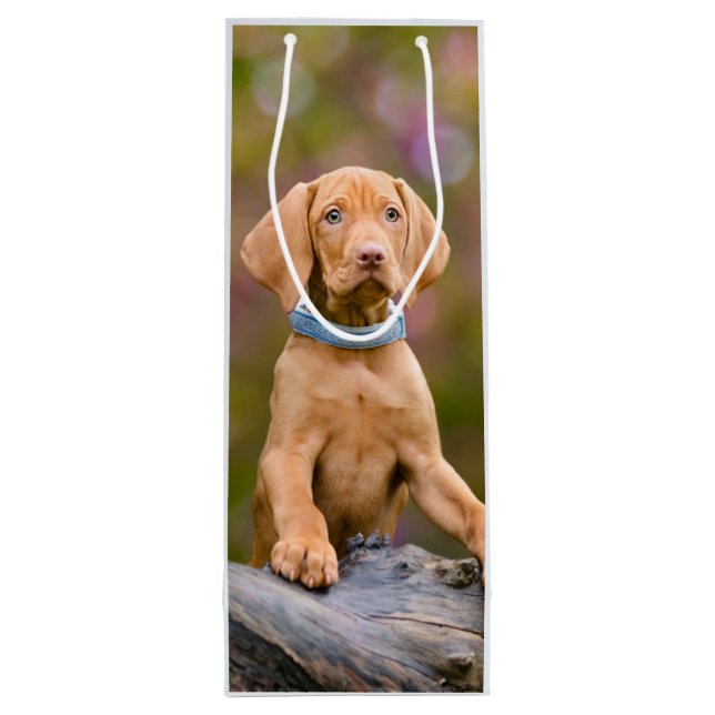 Cute puppyeyed Hungarian Vizsla Dog Puppy Photo __ Wine Gift Bag (Back)