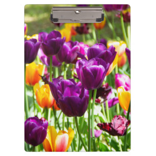 Cute purple and yellow tulips   clipboard