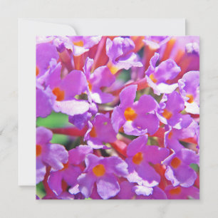 Cute purple little flowers