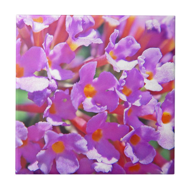 Cute purple little flowers ceramic tile (Front)