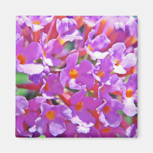 Cute purple little flowers magnet