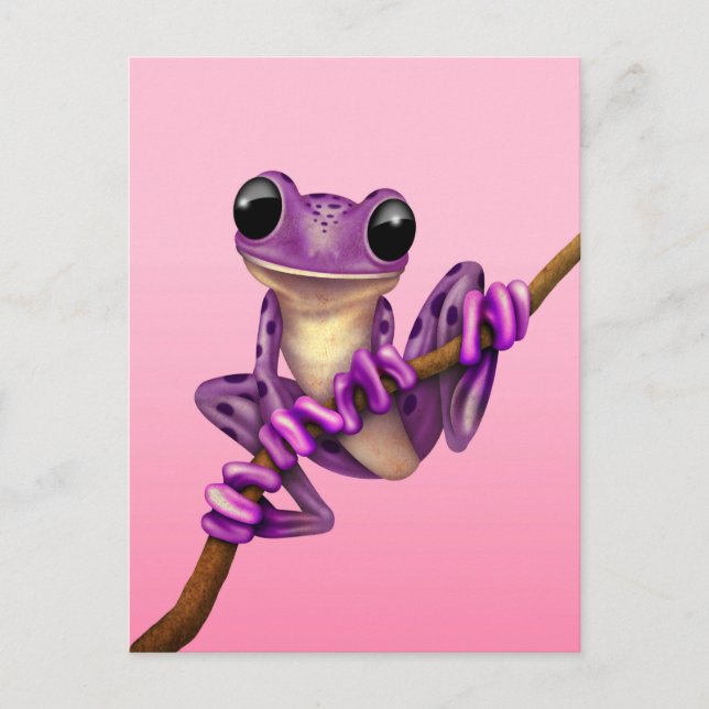 Cute Purple Tree Frog on a Branch on Pink Postcard (Front)