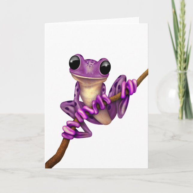 Cute Purple Tree Frog on a Branch on White Card (Front)