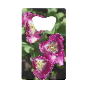 Cute purple tulips in the garden