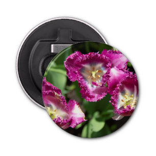 Cute purple  tulips  in the garden  bottle opener
