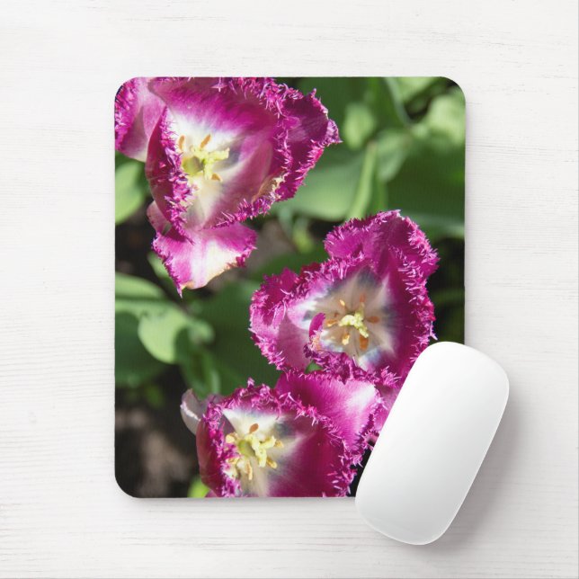 Cute purple  tulips  in the garden  mouse pad (With Mouse)