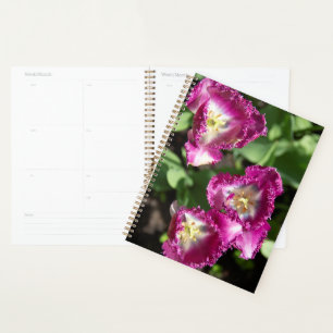 Cute purple tulips in the garden planner