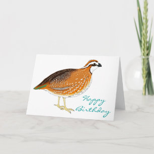 Cute Quail Birthday Card