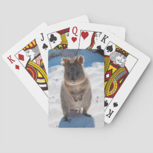 Cute Quokka Animal Beach Wildlife Australia Playing Cards