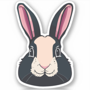 Cute Rabbit Cartoon Charactor