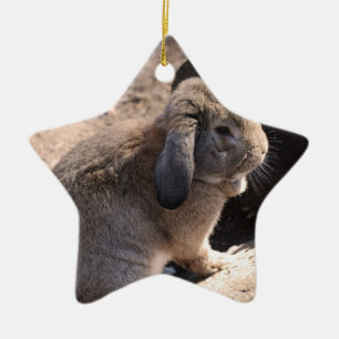 Cute Rabbit Ceramic Ornament
