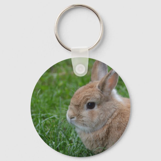 Cute Rabbit Key Ring (Front)