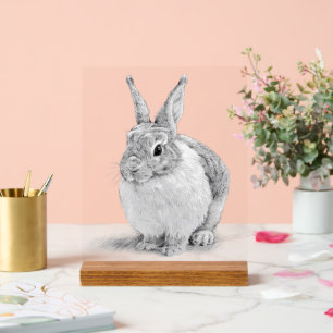 Cute Rabbit Pencil Drawing Acrylic Sign